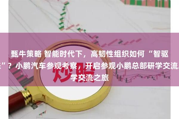 甄牛策略 智能时代下,高韧性组织如何 “智驱未来”?小鹏汽车参观考察,开启参观小鹏总部研学交流之旅