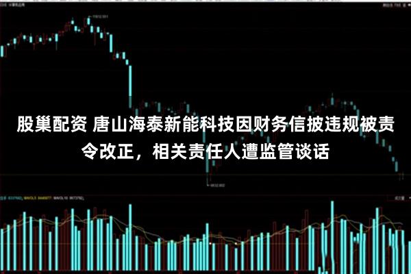 股巢配资 唐山海泰新能科技因财务信披违规被责令改正，相关责任人遭监管谈话